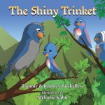 Shiny Trinket