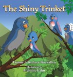 Shiny Trinket