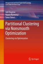 Partitional Clustering via Nonsmooth Optimization