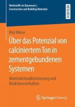 UEber Das Potenzial Von Calciniertem Ton in Zementgebundenen Systemen