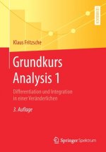 Grundkurs Analysis 1