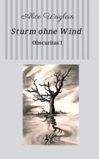 Sturm ohne Wind