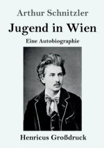 Jugend in Wien (Grossdruck)