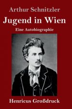 Jugend in Wien (Grossdruck)