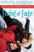 Twist of Fate (A Holiday Romance Novella)