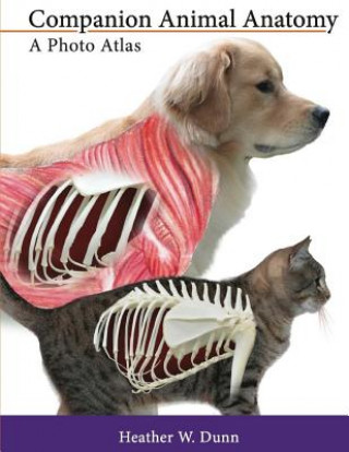 Companion Animal Anatomy: A Photo Atlas
