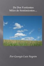 De Dos Vertientes Miles de Sentimientos
