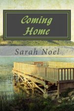 Coming Home: A Willow Lake series novel: Book 1