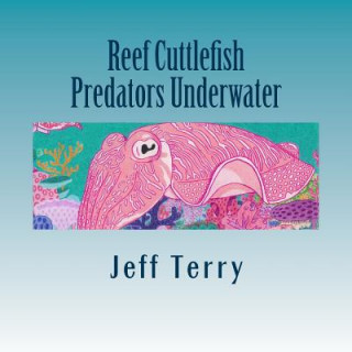 Reef Cuttlefish