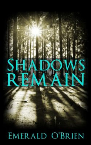 Shadows Remain