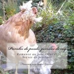 Paroles de poule, pensees de coq: Romance au poulailler et br?ves de perchoir
