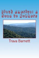 Black America: A Road to Nowhere: Self-Destruction or Injustice