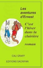 Les aventures d'Ernest: C'est l'hiver dans la clairi?re