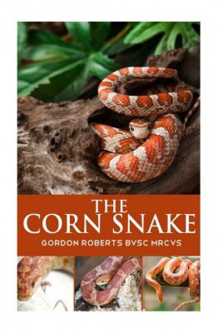 The Corn Snake