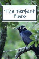 The Perfect Place