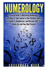 Numerology: Practical Guide to Mastering Numerology: Learn How to Take Control of Your Destiny, Identify Strengths & Weaknesses, a