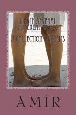 Life in Several Different Words: A collection of poems