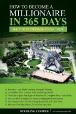 How to become a millionaire in 365 days: The Step By Step Plan to get there