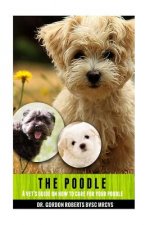 The Poodle: A vet's guide on how to care for your Poodle