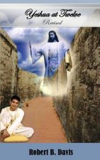Yeshua At Twelve: A Factual Novel