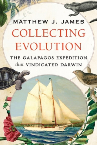 Collecting Evolution