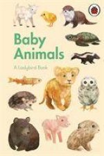 Ladybird Book: Baby Animals