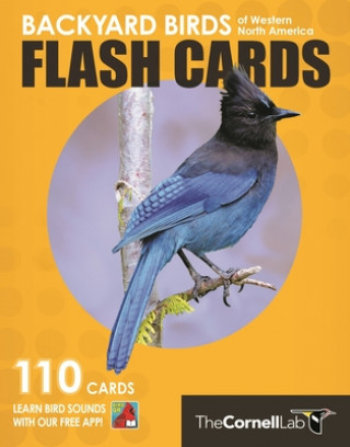 Backyard Birds Flash Cards- Western North America