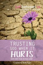 Trusting God When It Hurts: Hope When Your Life Falls Apart