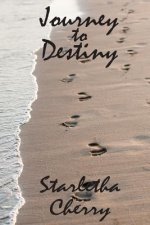 Journey TO Destiny