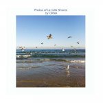 Photos of La Jolla Shores by ORNA