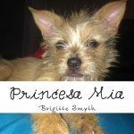 Princesa Mia: Princess Mia