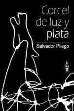 Corcel de luz y plata