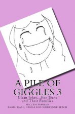 A Pile of Giggles 3: Clean Jokes...For Teens and Their Families