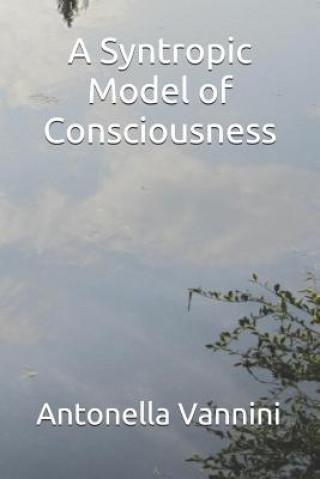 A Syntropic Model of Consciousness