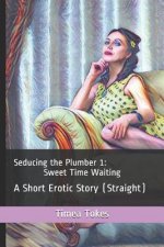 Seducing the Plumber 1: Sweet Time Waiting: A Short Erotic Story (Straight)