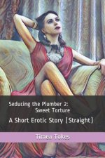 Seducing the Plumber 2: Sweet Torture: A Short Erotic Story (Straight)