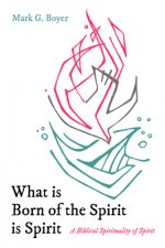 What Is Born of the Spirit Is Spirit