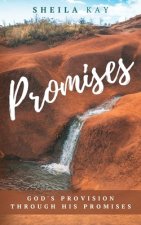 Promises: God's Provision through His Promises