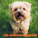 nouveau depart