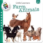Little Learners