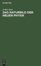 Das Naturbild Der Neuen Physik