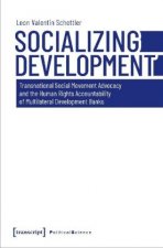 Socializing Development - Transnational Social Movement Advocacy and the Human Rights Accountability of Multilateral Development Banks