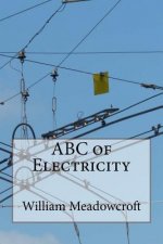 ABC of Electricity: William Henry Meadowcroft