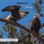 Strength & Beauty: The Bald Eagles of Berry College