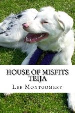 House of Misfits - Teija: Border Collie born deaf and blind