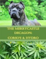 The Merrycastle Decagon: Corsos & Hydro: The Merrycastle Decagon