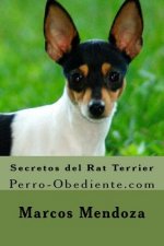 Secretos del Rat Terrier: Perro-Obediente.com