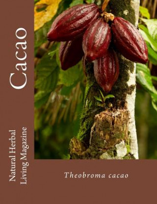 Cacao (Amanda Klenner)(Brožovaná)