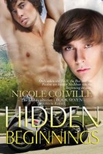 Hidden Beginnings: The Hidden Series