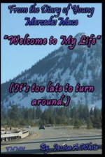 Welcome to My Life: (It's too late to turn around)